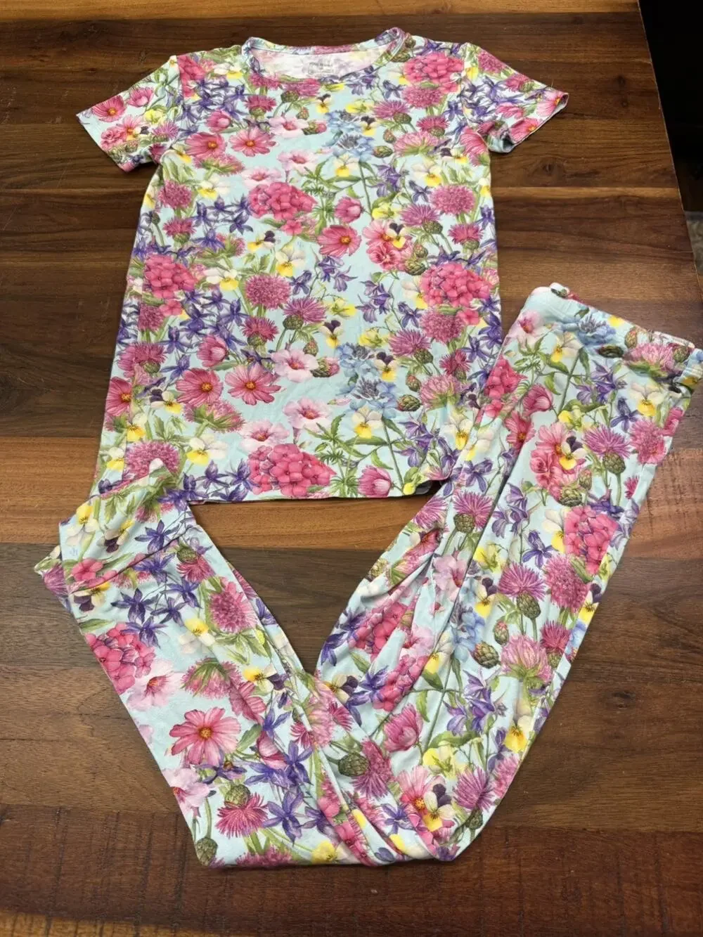 Posh Peanut Short Sleeve top and long pants Pajama Set - 12 EUC